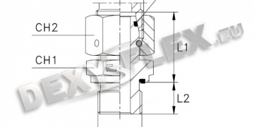Products / Pipe fittings / DIN 2353 carbon / Male stud coupling, with swivel nut and elastomer seal BSP