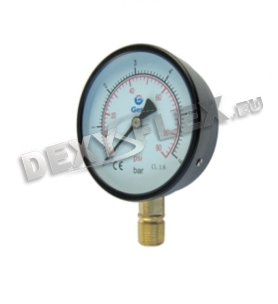 Hoses DexyFlex® | Manometer dry metal axial